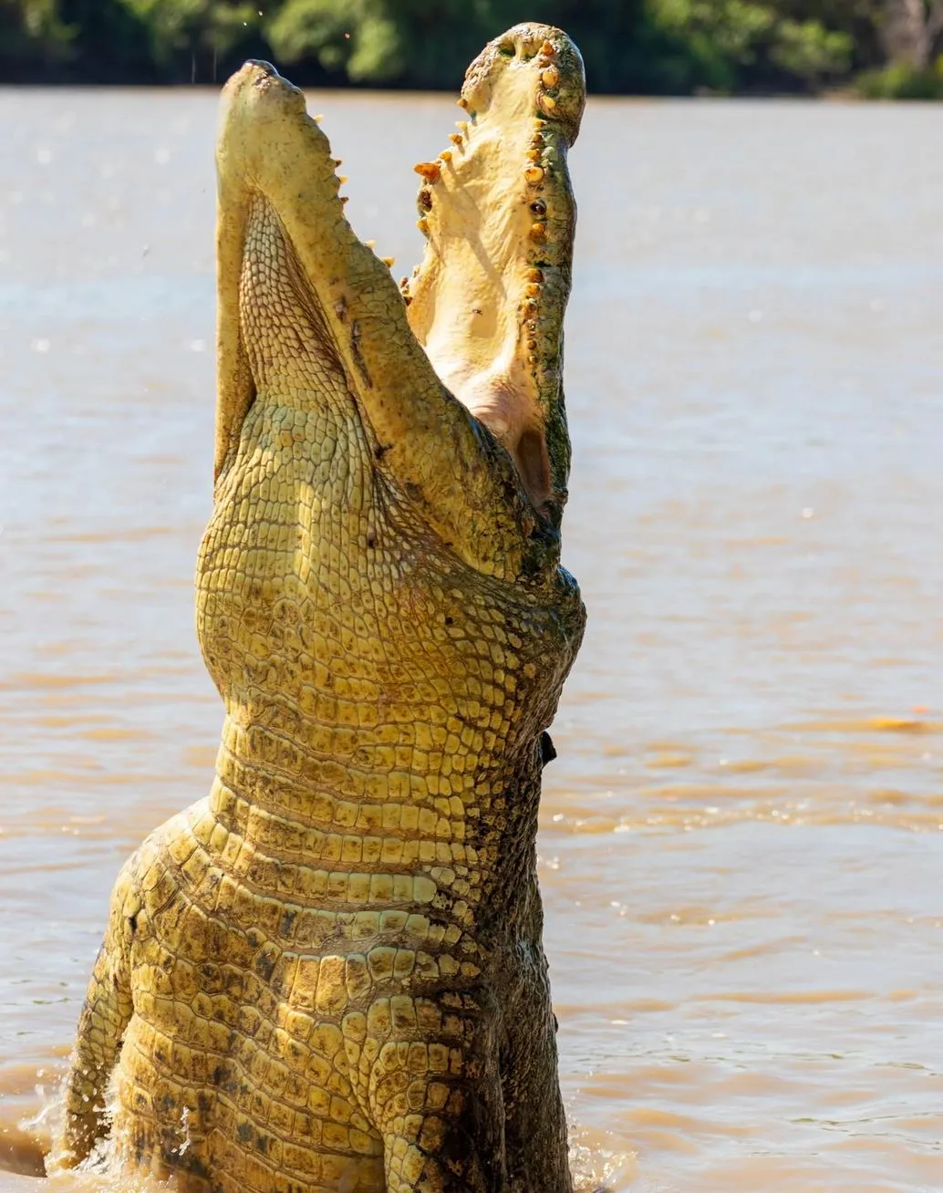 eski-mo | What Are the Best Attractions Near Kakadu? eski-mo | What Are the Best Attractions Near Kakadu?